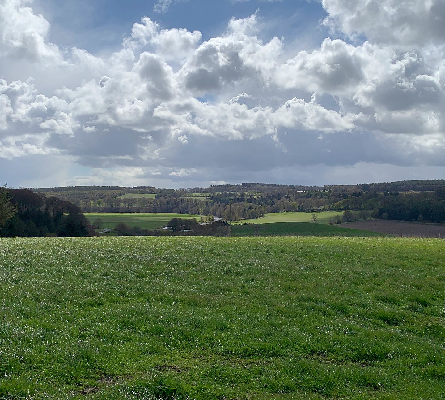 IMG 2967 Muirden Deveron