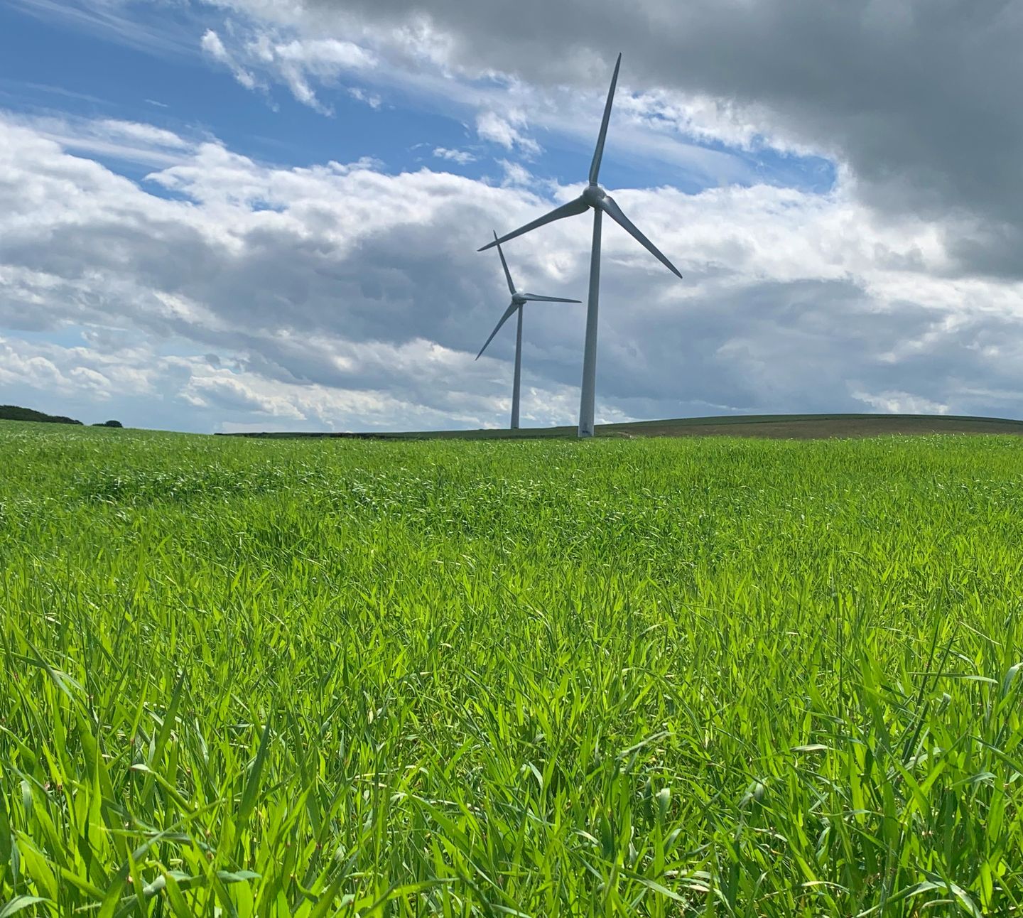 Wind turbines Strath - Environmental Sustainability