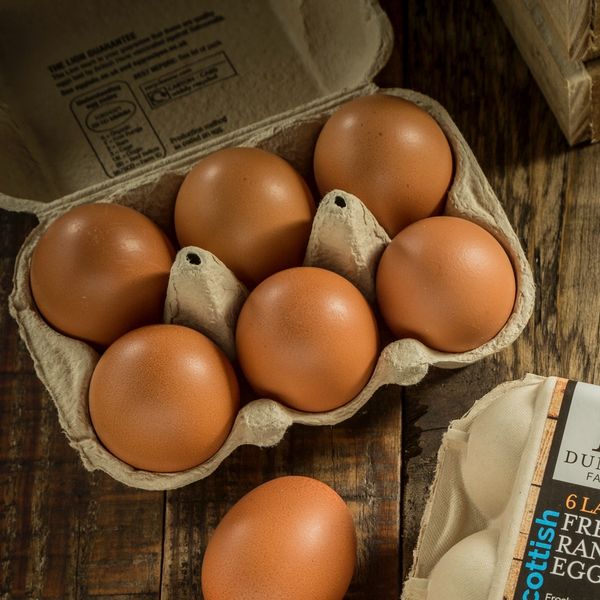 Eggs in pack IMG 4066