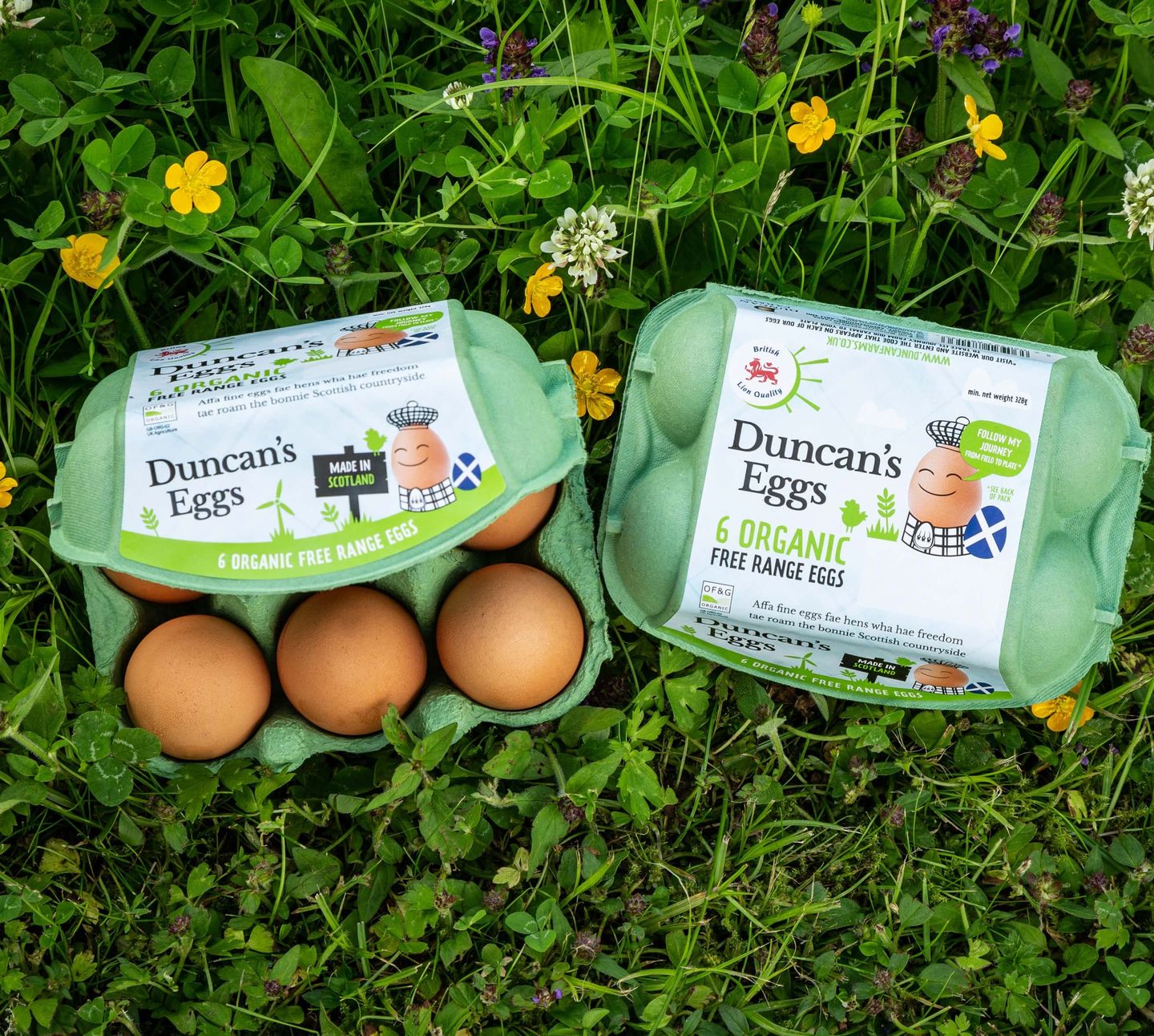 Duncans Eggs Organic Packs on grass 0393 min